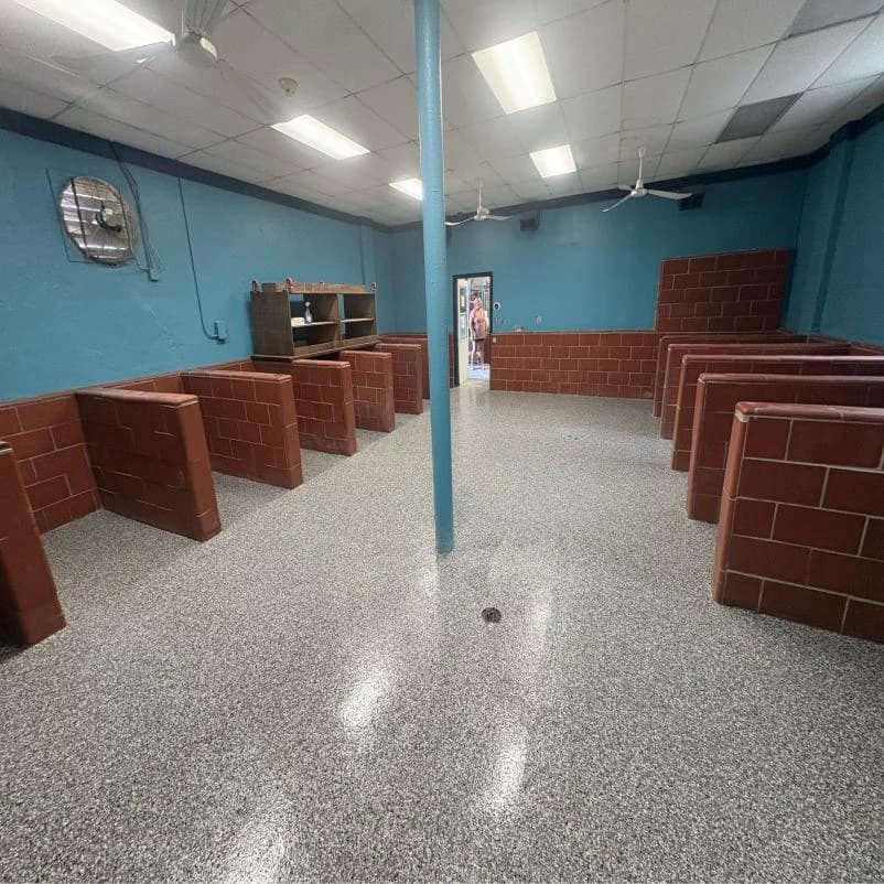Commercial room with teal walls and a gray flake floor coating