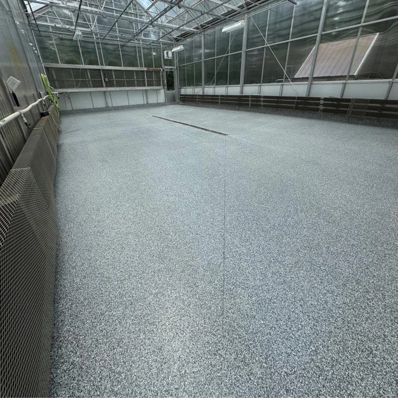 Greenhouse interior with a light gray flake floor coating